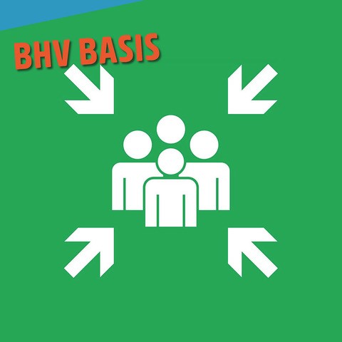 BHV basis