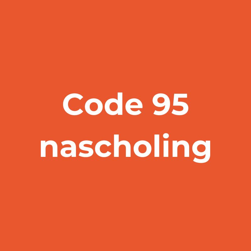 Code 95 nascholing